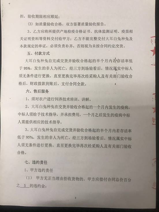 8bbdb12552e956823a9fe7f987ca656